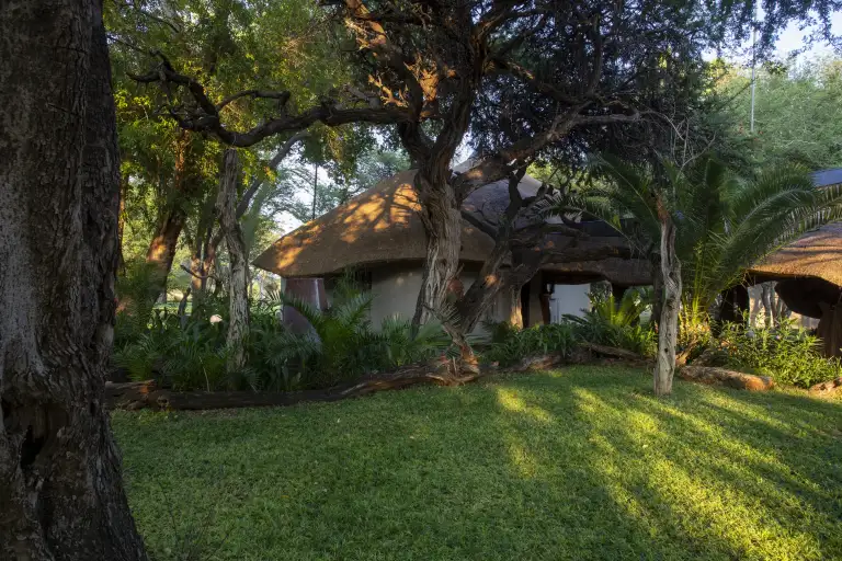 Photo 2026-01-29, 6 52 09 AM