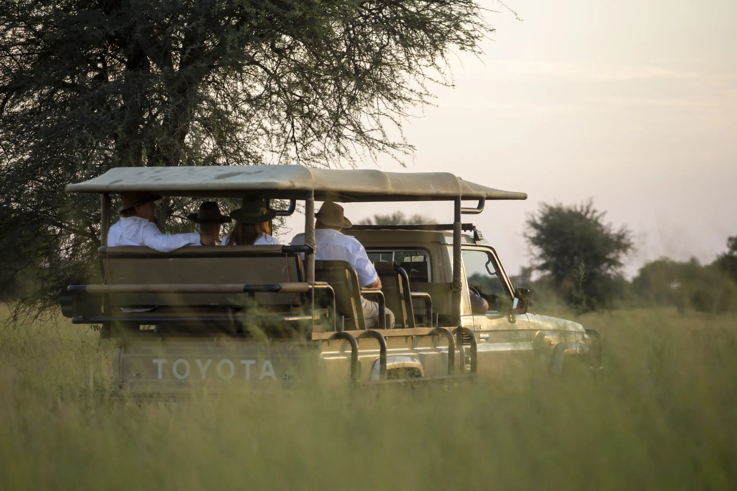 Photo 2026-01-30, 6 23 14 PM