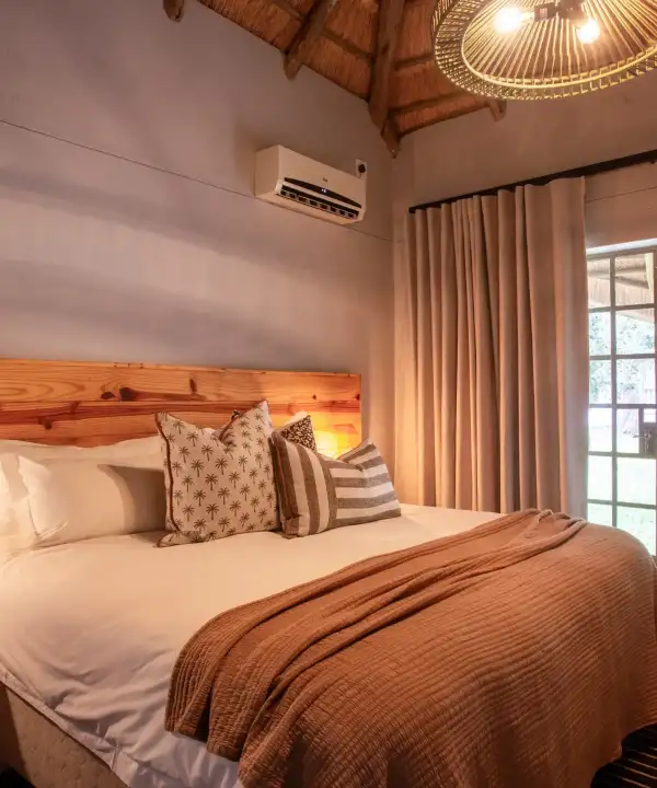 Photo 2026-01-29, 3 03 36 PM