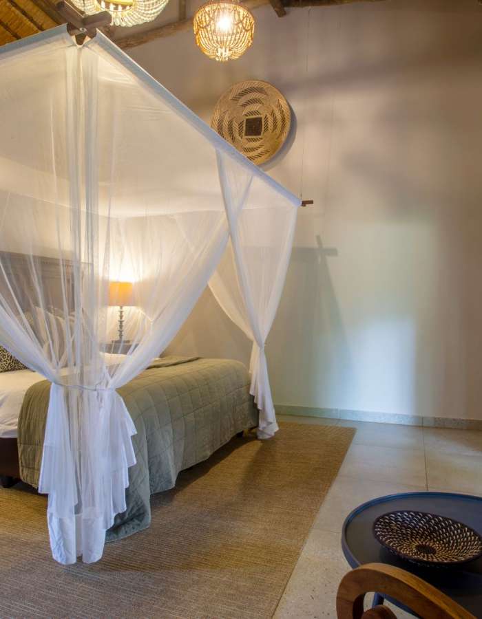 WhatsApp Image 2026-03-25 at 11.31.30